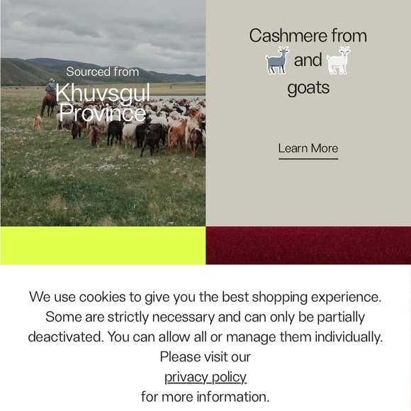 Cashmere/ silk NWT SIZE XL (fits like a large) cashmere/ silk beauty. - Picture 13 of 14